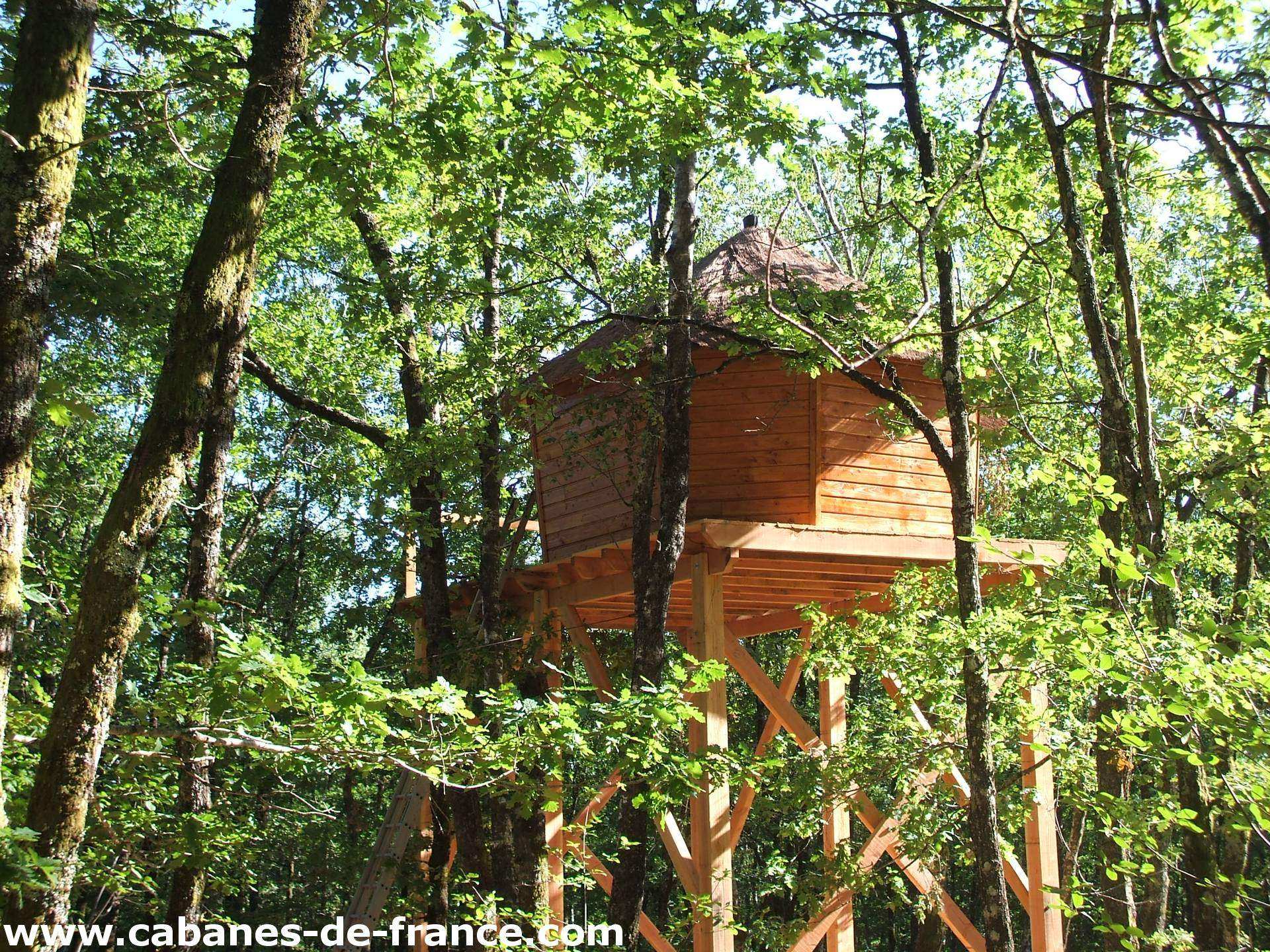 Cabane Hibou - Les Cabanes Silvae : Cabane dans les arbres en Limousin