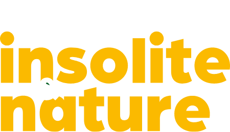 Offrez une évasion insolite et nature