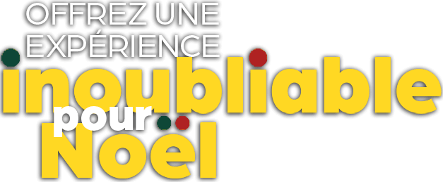 Offrez expérience innoubliable pour Noël