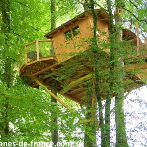 Cabane dans les arbres en Bourgogne-Franche-Comté, perchée au milieu des feuillus.