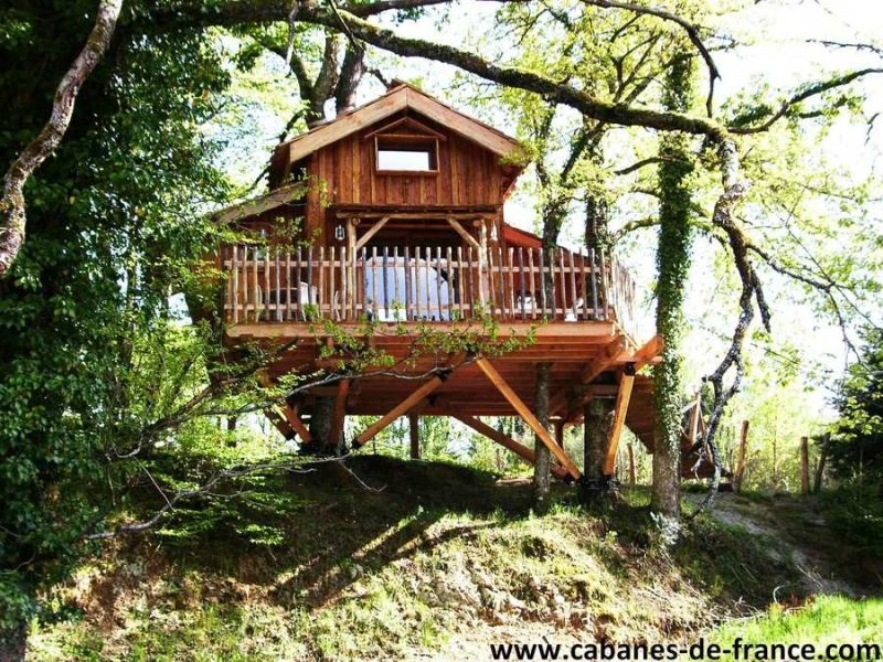 Cabane perchée en bois, entourée darbres, offrant une vue imprenable sur la nature.