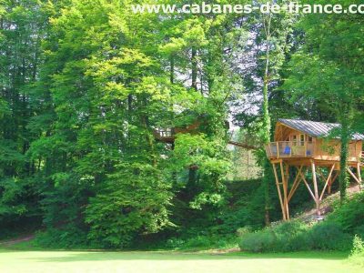 Cabane perchée dans les arbres, entourée de verdure luxuriante en Bourgogne-Franche-Comté.