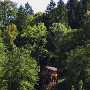 Cabane perchée en bois, entourée de verdure, offrant une vue imprenable sur la nature.