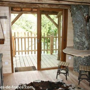 Cabane en bois dans les arbres, avec un tronc darbre intégré et vue sur la nature.