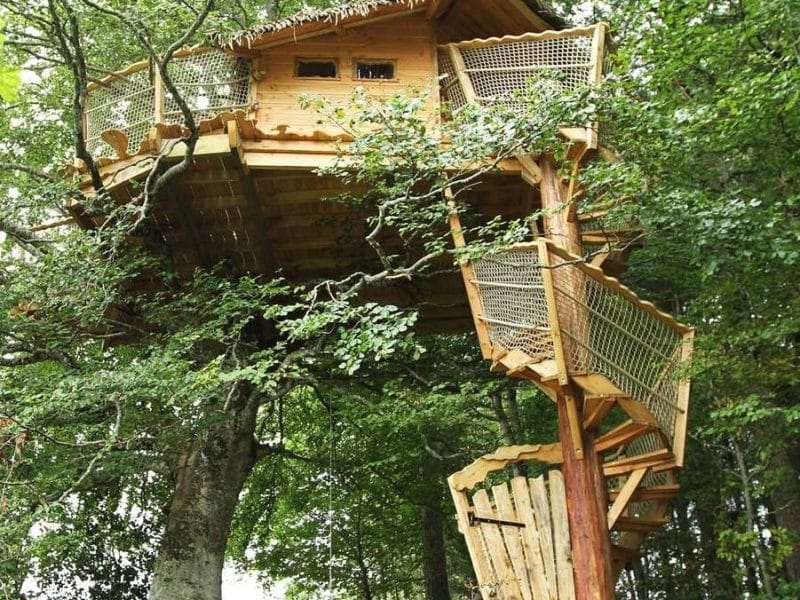 Cabane dans les arbres, perchée au milieu dune forêt verdoyante.
