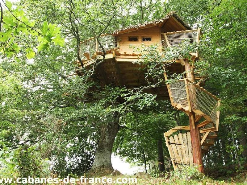Cabane perchée dans un arbre en Auvergne, entourée de verdure luxuriante.
