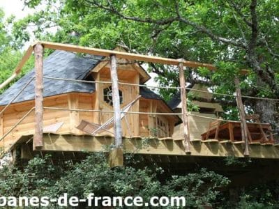 Cabane perchée en bois dans les arbres, entourée de verdure luxuriante.