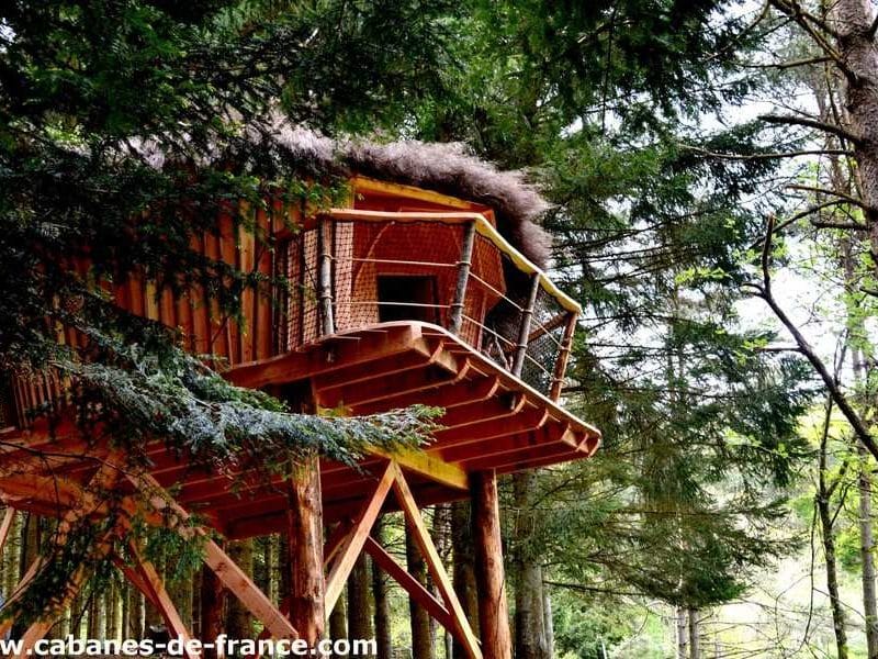 Cabane perchée en bois au cœur des arbres, avec un toit en chaume.