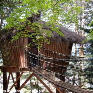 Cabane perchée en bois avec toit en chaume, entourée darbres verdoyants en Auvergne.