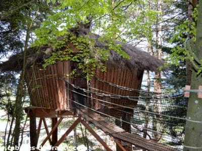 Cabane perchée en bois avec toit en chaume, entourée darbres verdoyants en Auvergne.