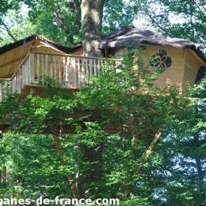 Cabane dans les arbres, perchée au milieu des feuillages verdoyants.