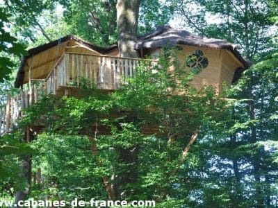 Cabane dans les arbres, perchée au milieu des feuillages verdoyants.