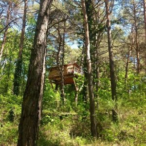 Cabane perchée dans les arbres, entourée de verdure en Provence-Alpes-Côte dAzur.