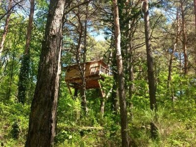 Cabane perchée dans les arbres, entourée de verdure en Provence-Alpes-Côte dAzur.