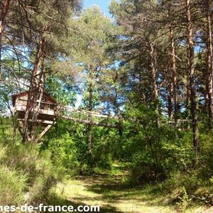 Cabane perchée dans les arbres, entourée de pins verdoyants en Provence-Alpes-Côte dAzur.