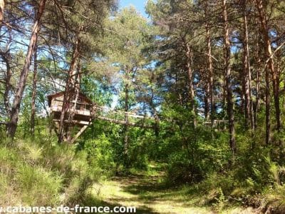 Cabane perchée dans les arbres, entourée de pins verdoyants en Provence-Alpes-Côte dAzur.