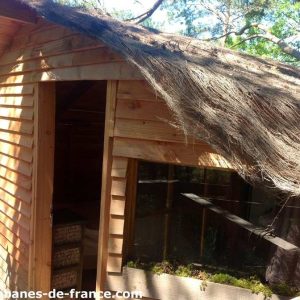 Cabane en bois avec toit en chaume, nichée dans la nature en Provence-Alpes-Côte dAzur.