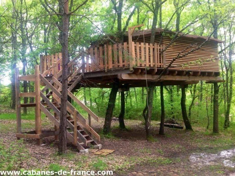 Cabane perchée dans les arbres, entourée de verdure, avec un accès par un escalier en bois.