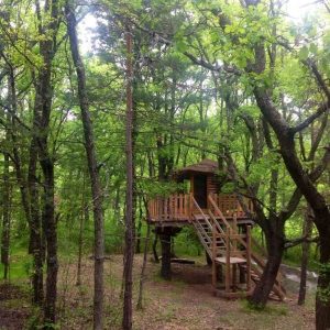 Cabane dans les arbres en Provence-Alpes-Côte dAzur, entourée de verdure luxuriante.