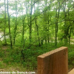 Cabane perchée en bois, entourée dune verdure luxuriante en Provence-Alpes-Côte dAzur.
