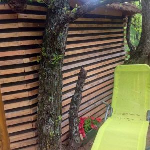 Cabane perchée en bois, intégrée à un arbre, avec une chaise longue verte.