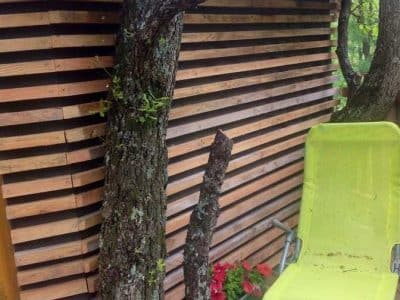 Cabane perchée en bois, intégrée à un arbre, avec une chaise longue verte.