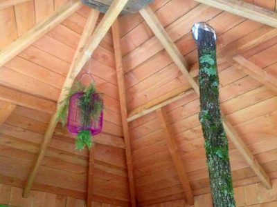 Cabane en bois avec un tronc darbre au centre et des lampes colorées.