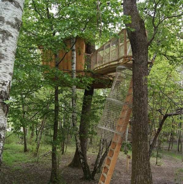 Cabane perchée dans les arbres, entourée de verdure, offrant une vue imprenable.