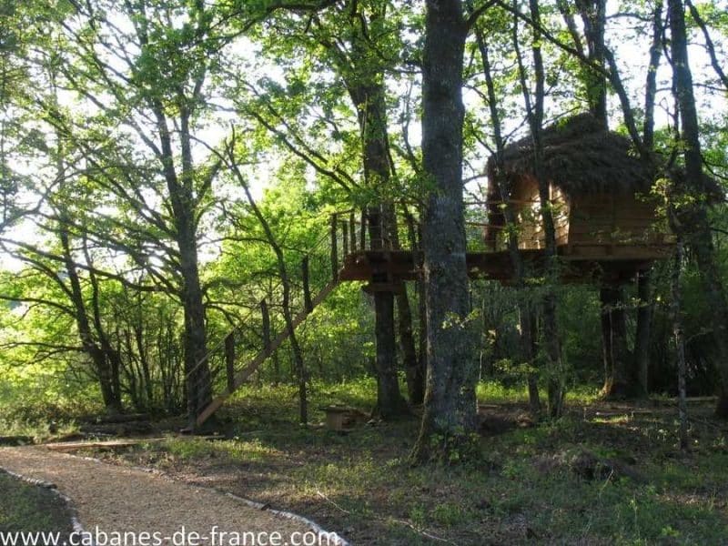 Cabane perchée dans les arbres, entourée de verdure luxuriante et paisible.