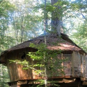 Cabane perchée dans les arbres, entourée de verdure, offrant une vue apaisante.