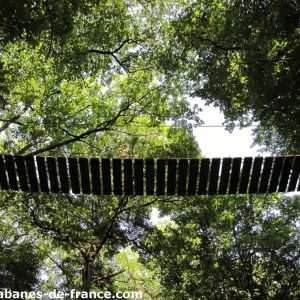 Cabane perchée dans les arbres, vue depuis le sol avec un pont suspendu.