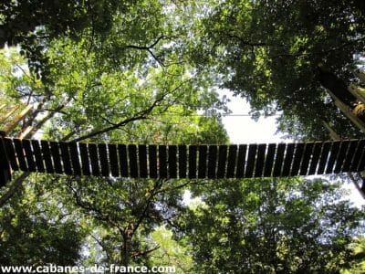 Cabane perchée dans les arbres, vue depuis le sol avec un pont suspendu.