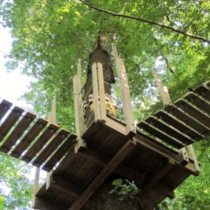 Cabane perchée dans un arbre, offrant une vue imprenable sur la forêt verdoyante.