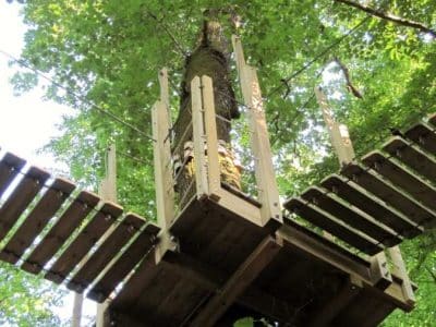 Cabane perchée dans un arbre, offrant une vue imprenable sur la forêt verdoyante.