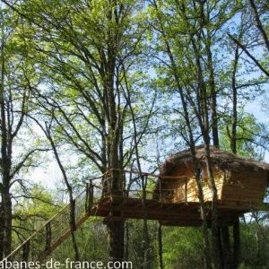Cabane perchée dans les arbres, entourée de feuillus verdoyants.