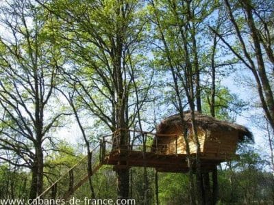Cabane perchée dans les arbres, entourée de feuillus verdoyants.