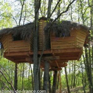 Cabane perchée dans les arbres, entourée de verdure, avec un toit en chaume.
