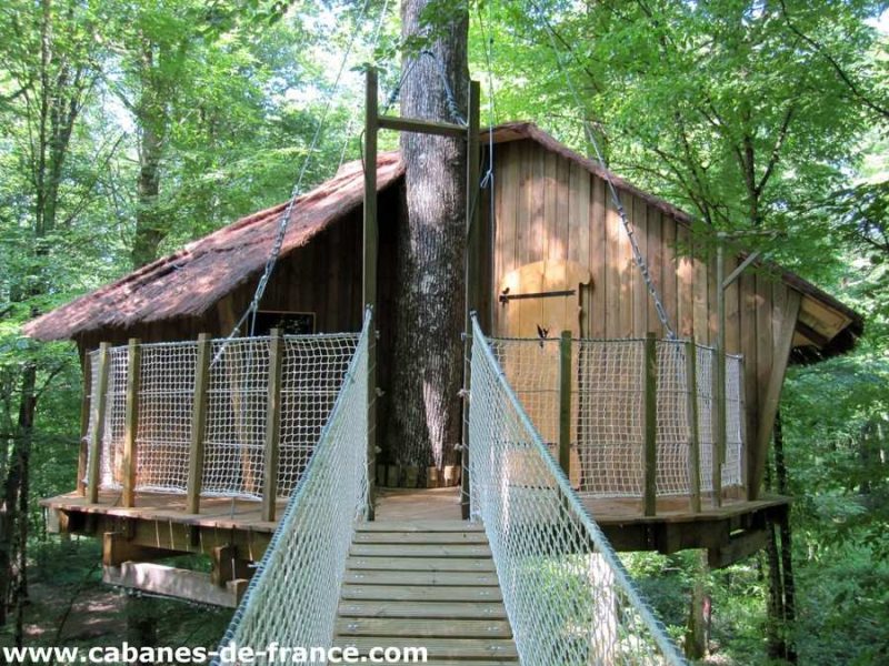 Cabane perchée dans les arbres, accessible par un pont suspendu, au cœur de la forêt.