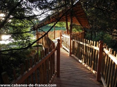 Cabane perchée dans les arbres, chemin en bois entouré de verdure paisible.
