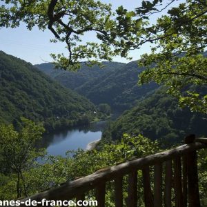 Cabane perchée dans les arbres, vue panoramique sur la vallée verdoyante.