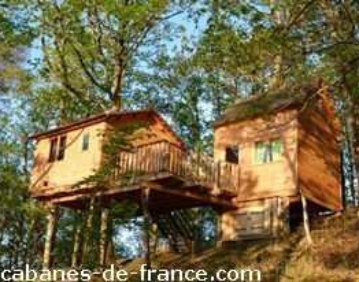Cabane perchée dans les arbres, entourée de verdure au cœur du Limousin.