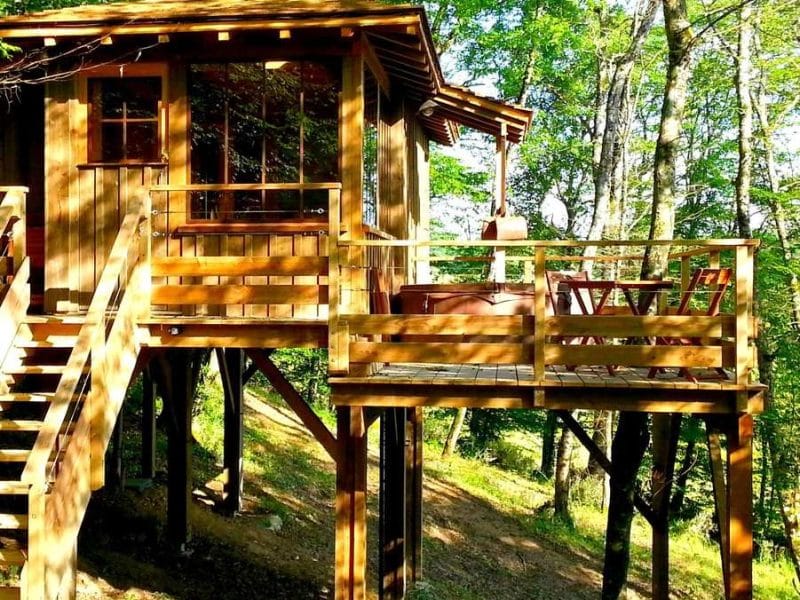 Cabane en bois perchée dans les arbres, avec terrasse ensoleillée et vue sur la nature.