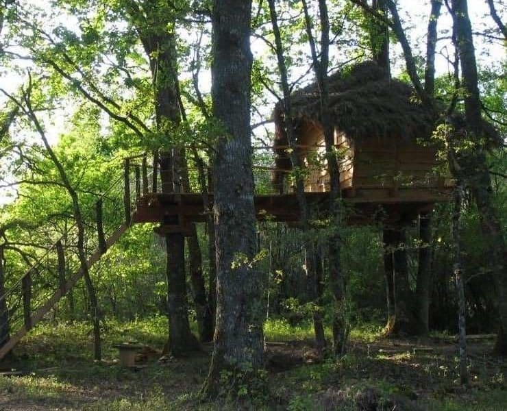 Cabane perchée dans les arbres, entourée de verdure luxuriante et paisible.