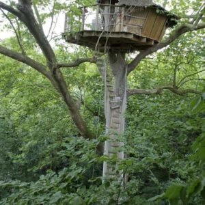 Cabane dans les arbres, perchée au milieu dune verdure luxuriante.