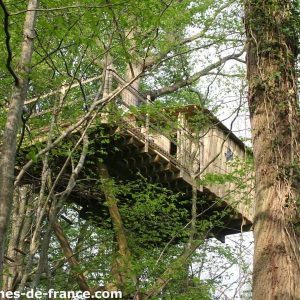 Cabane perchée dans les arbres, entourée de verdure luxuriante en Basse-Normandie.