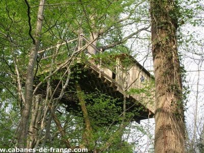 Cabane perchée dans les arbres, entourée de verdure luxuriante en Basse-Normandie.