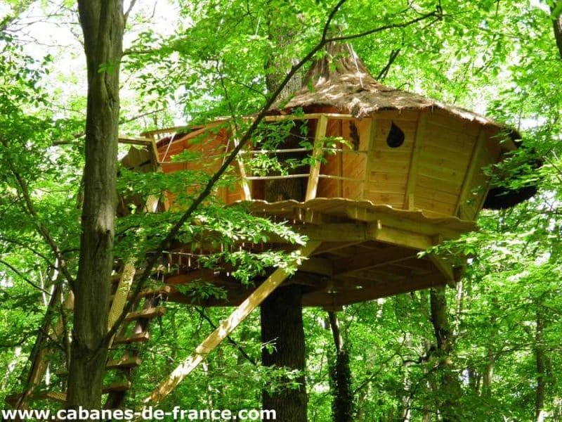Cabane perchée dans les arbres, entourée de verdure luxuriante à Île-de-France.