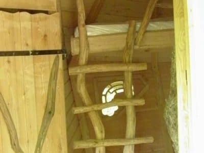 Cabane en bois à lIle-de-France avec échelle en rondins et fenêtre ronde.
