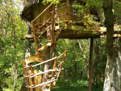 Cabane dans les arbres en Île-de-France, accessible par un escalier en bois.