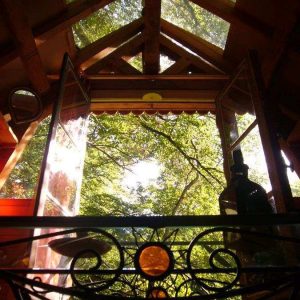 Cabane perchée dans les arbres, vue panoramique sur la verdure environnante.